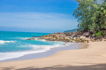 看看国产车的动力如何