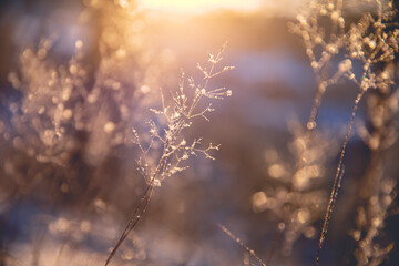 中国造国产车质量太差